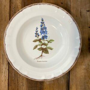 Set of 5 vintage French botanical soup plates by ADP Table with Provencal flora designs - mid-century porcelain dinnerware
