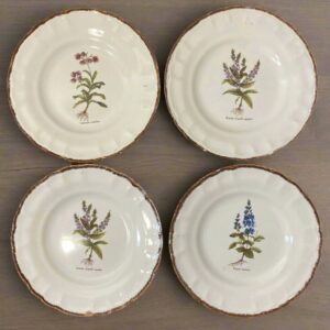 Set of 10 vintage Varages Provence botanical plates with hand-painted floral designs - French faience dinnerware collectible