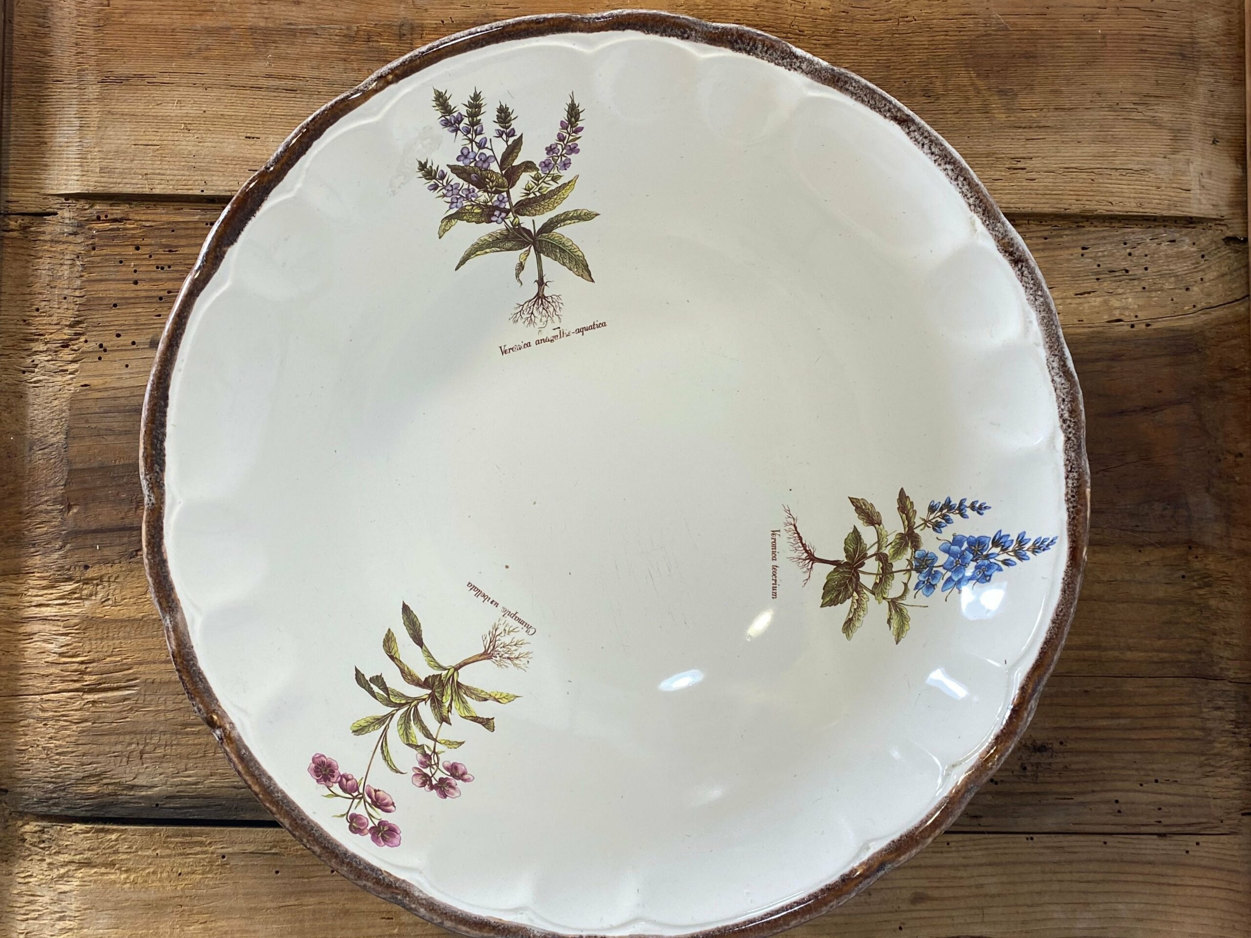 Vintage French botanical faience set from Haute Provence with flower motifs - soup bowl and 3 plates mid-century earthenware