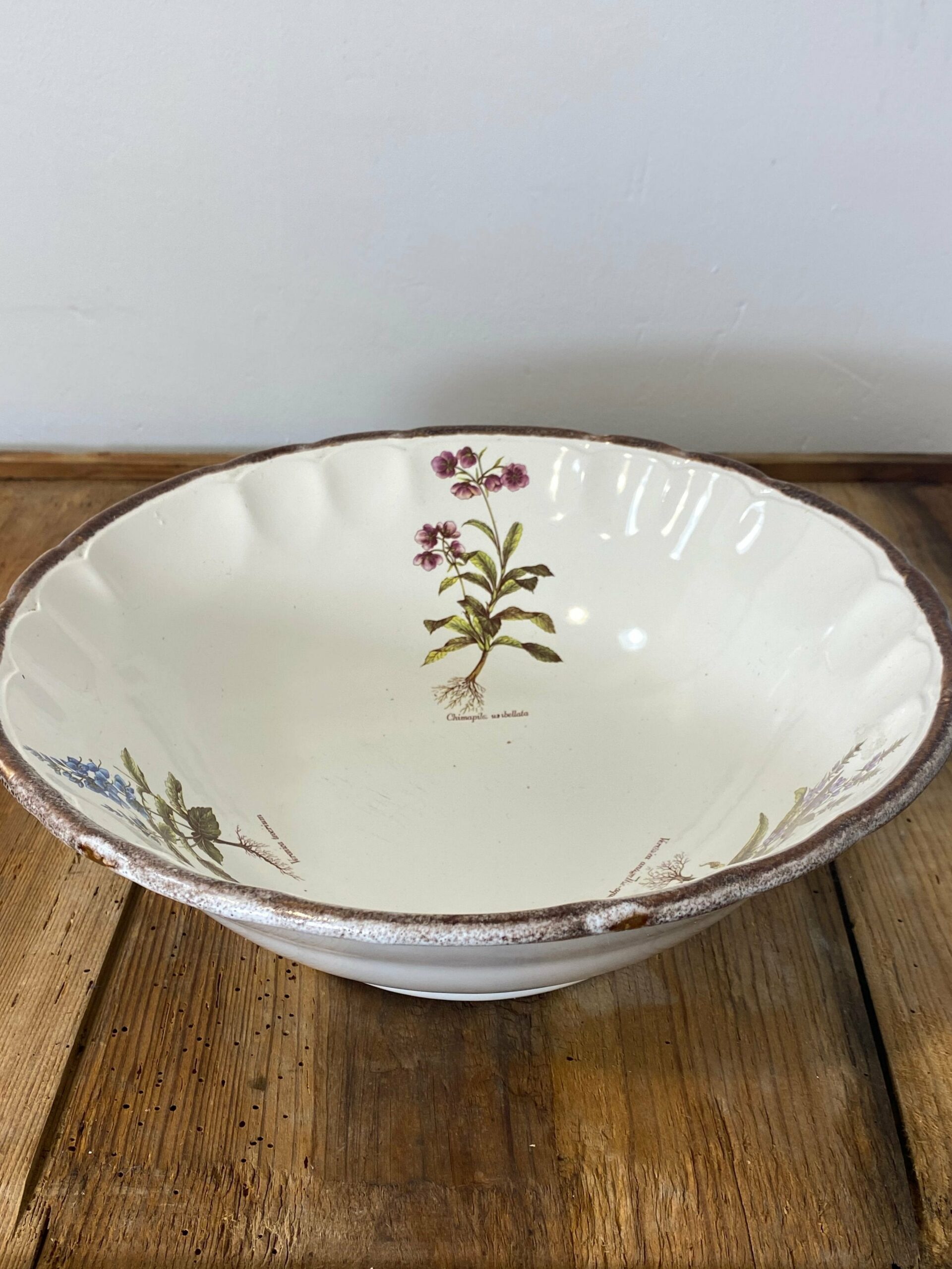 Vintage French Botanical Faïence Set – Soup Bowl & 3 Plates, Haute Provence - Image 2