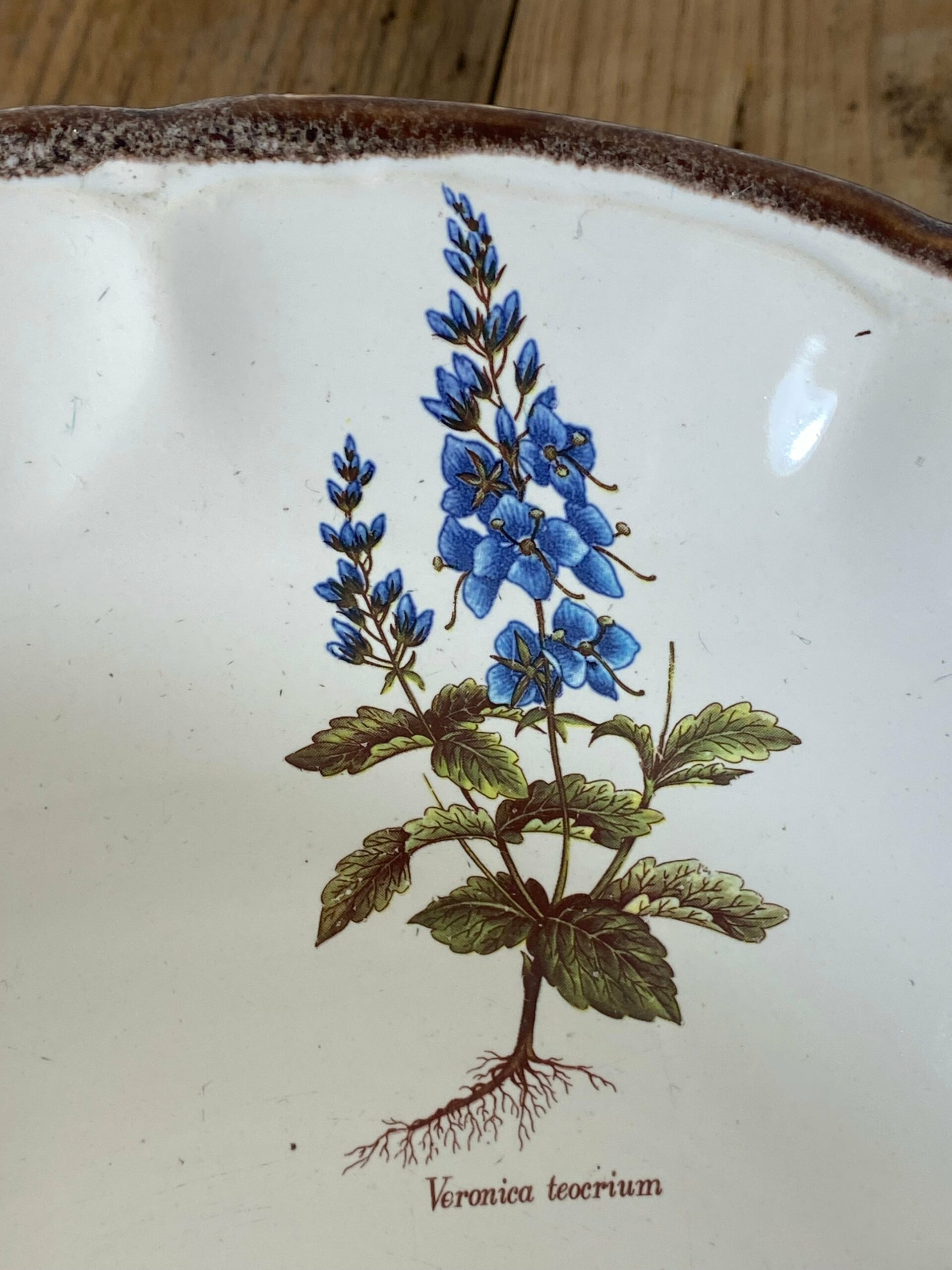 Vintage French Botanical Faïence Set – Soup Bowl & 3 Plates, Haute Provence - Image 3