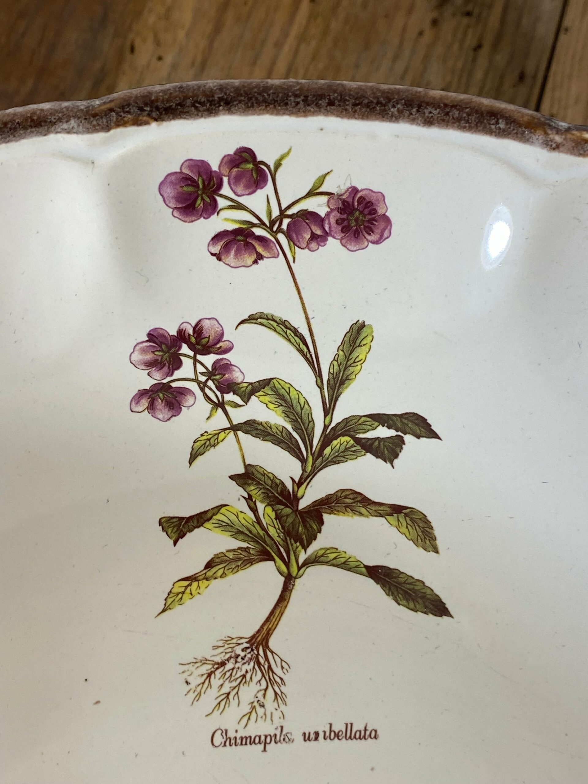 Vintage French Botanical Faïence Set – Soup Bowl & 3 Plates, Haute Provence - Image 4