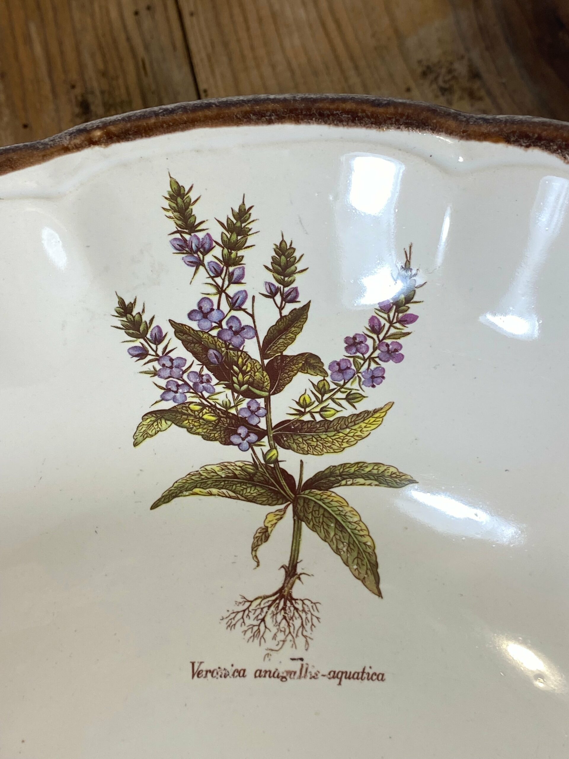 Vintage French Botanical Faïence Set – Soup Bowl & 3 Plates, Haute Provence - Image 5