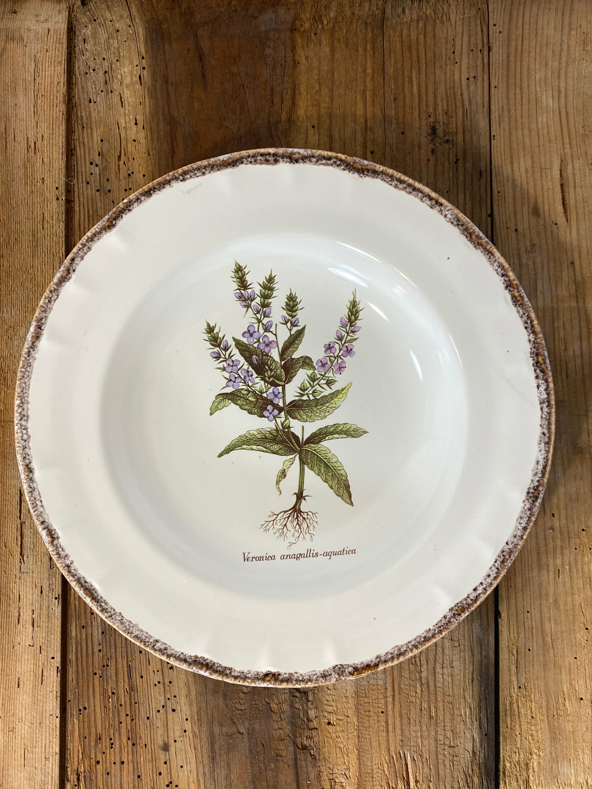 Vintage French Botanical Faïence Set – Soup Bowl & 3 Plates, Haute Provence - Image 7