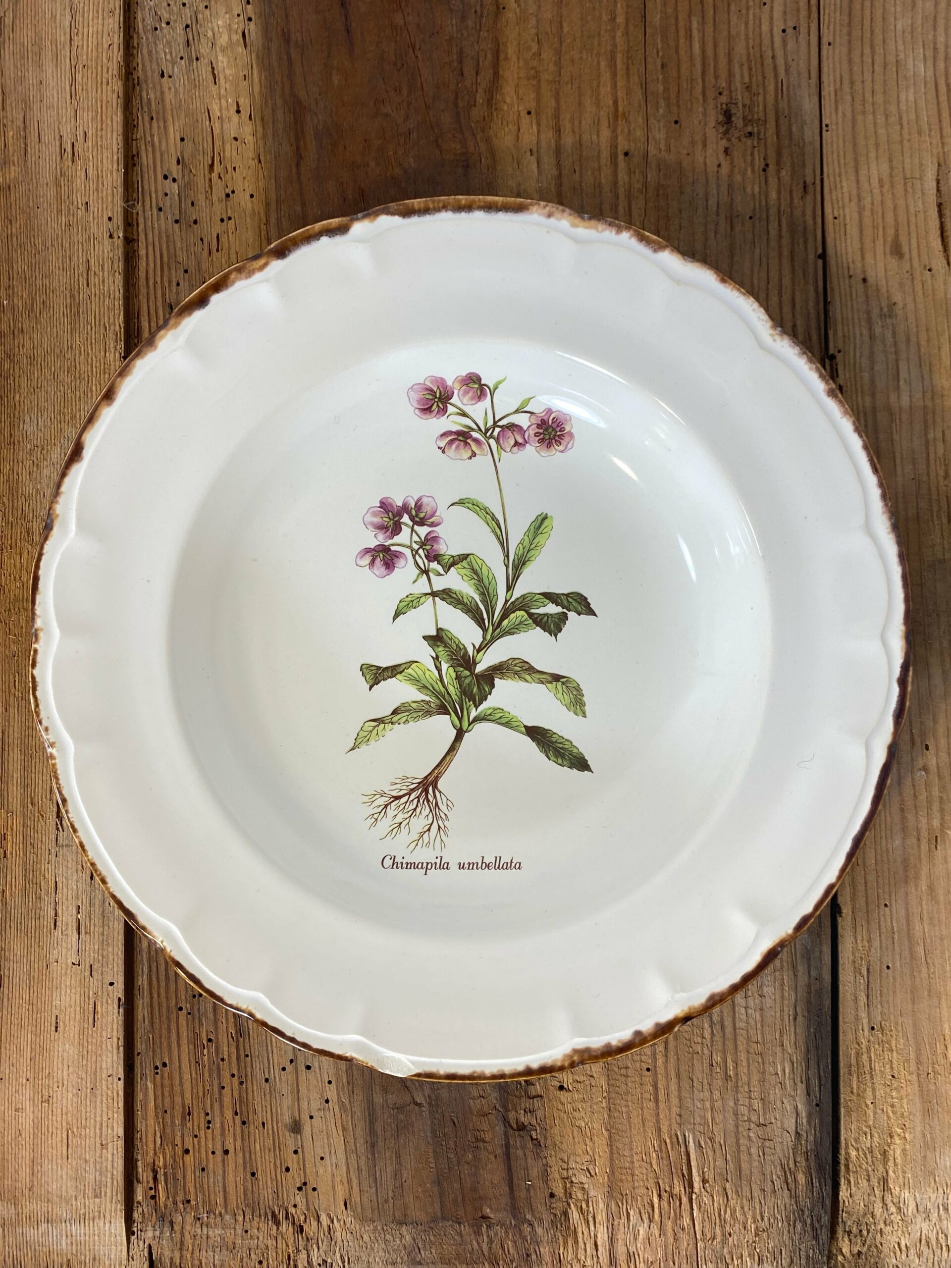 Vintage French Botanical Faïence Set – Soup Bowl & 3 Plates, Haute Provence - Image 9