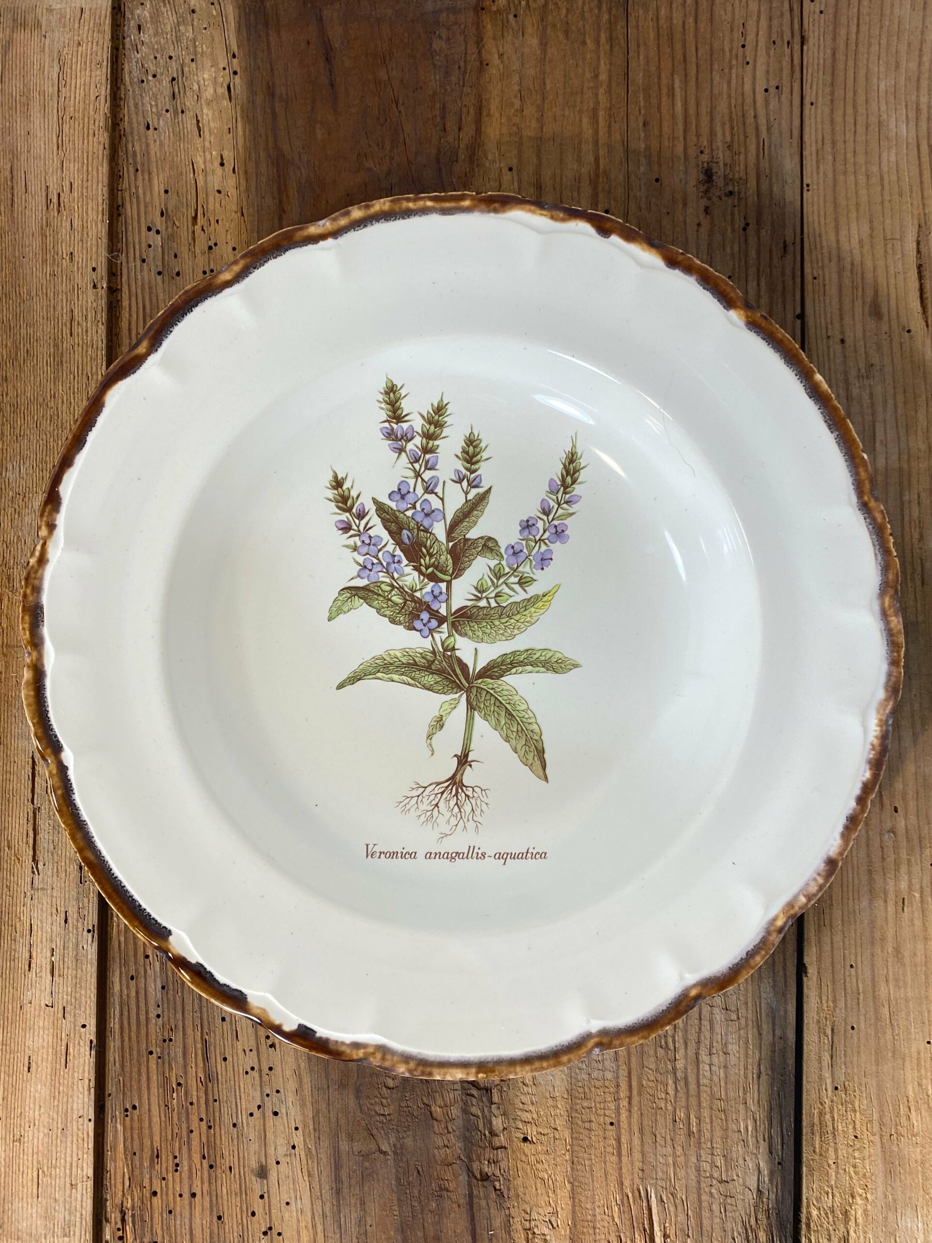 Vintage French Botanical Faïence Set – Soup Bowl & 3 Plates, Haute Provence - Image 11