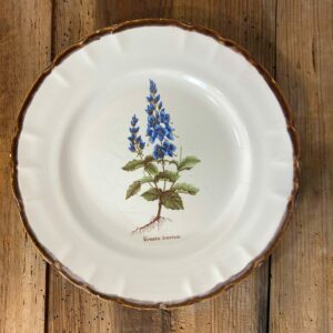 Vintage French botanical faience plate from Haute Provence with plant illustration - mid-century ceramic collectible