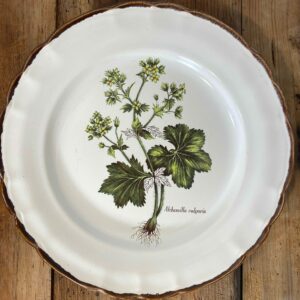 Vintage French botanical faience set by MdL Varages de Haute Provence with plant illustrations - mid-century plates and platters