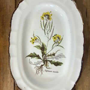 Vintage French botanical faience platter from Haute Provence with Diplotaxis muralis wildflower illustration - provincial ceramic collectible